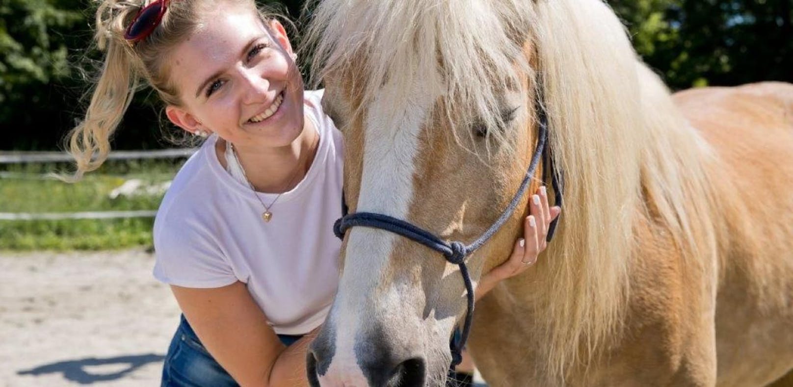 Schüler lernen Management mit Pferden