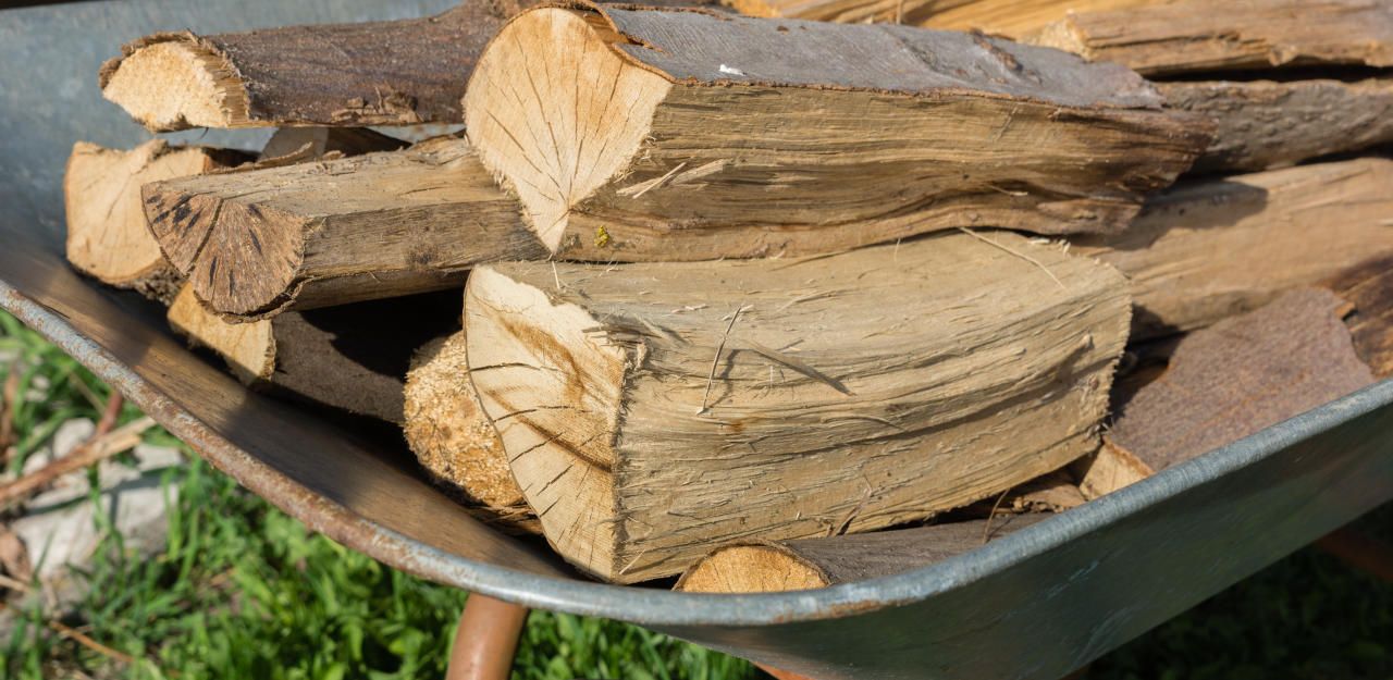 Rund vier Festmeter Brennholz wurden dem 57-Jährigen aus dem Schuppen gestohlen.