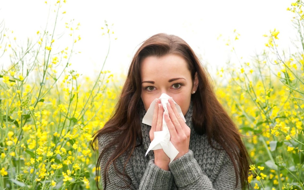 Hatschi! Die Pollensaison startet heuer früher als sonst.