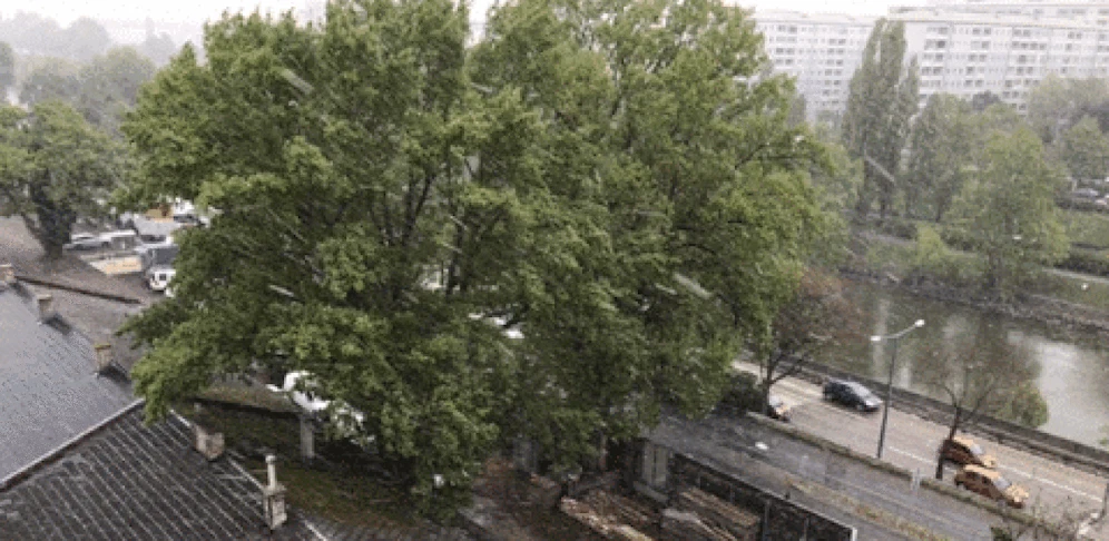 Schneesturm fegte Mittwochvormittag über Wien-Döbling.