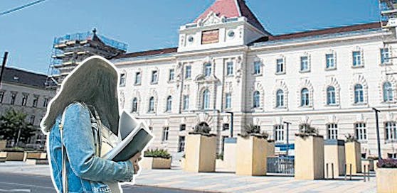 Die 30-Jährige musste in St. Pölten auf die Anklagebank.