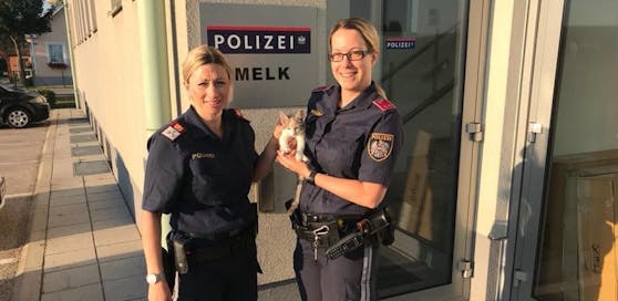 Die Polizistinnen Stefanie und Petra fanden die Katze.