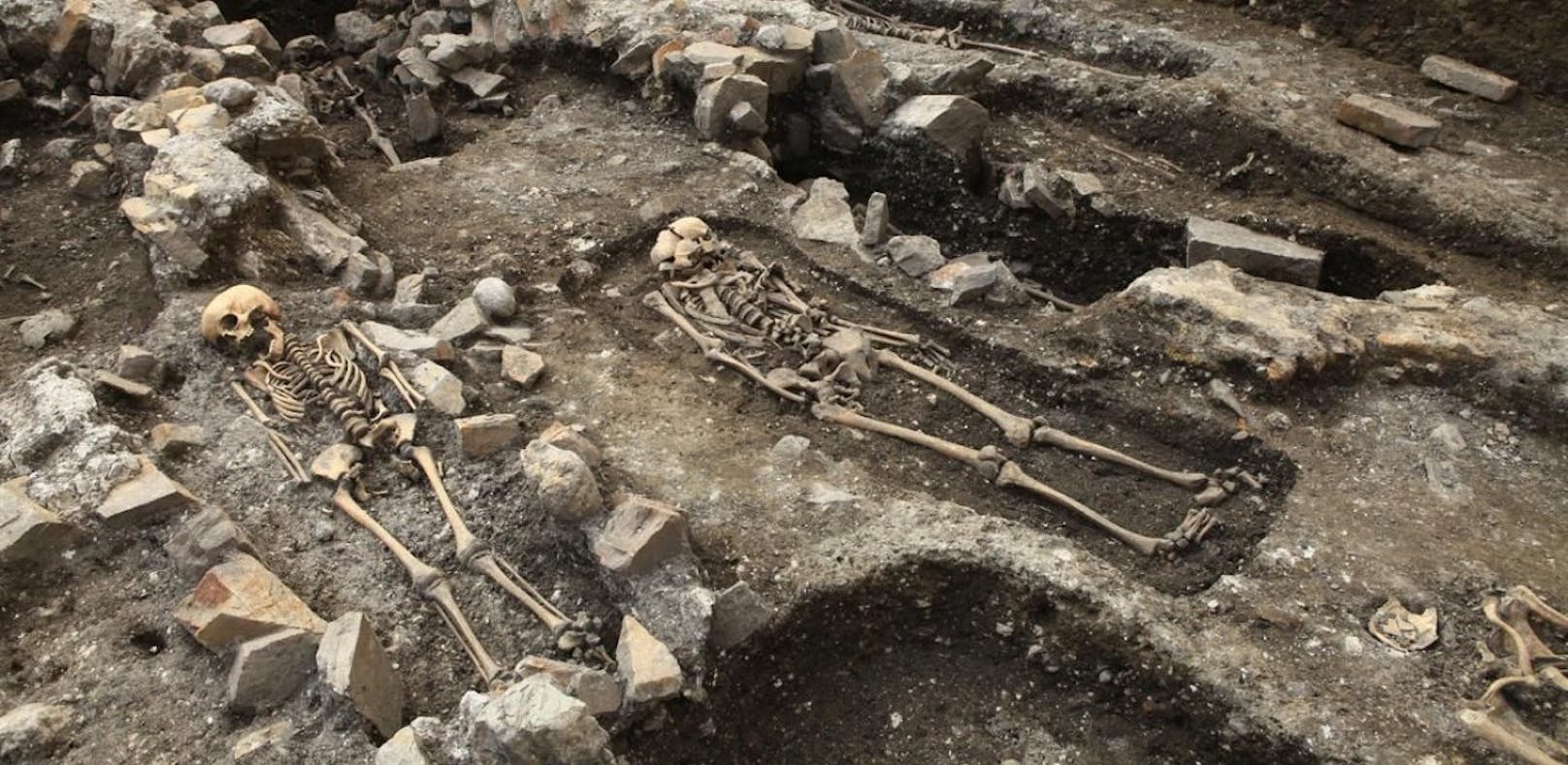 22.134 Skelette wurden unter dem Domplatz gefunden. 