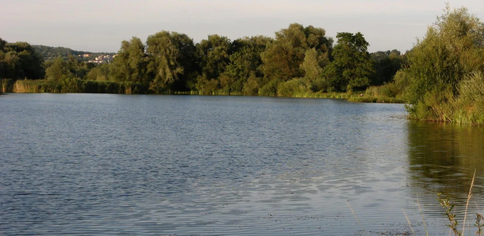 Die 14-Jährige wurde an einem Badesee sexuell belästigt