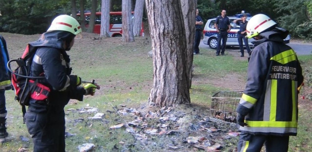 Die Feuerwehr konnte rechtzeitig löschen.