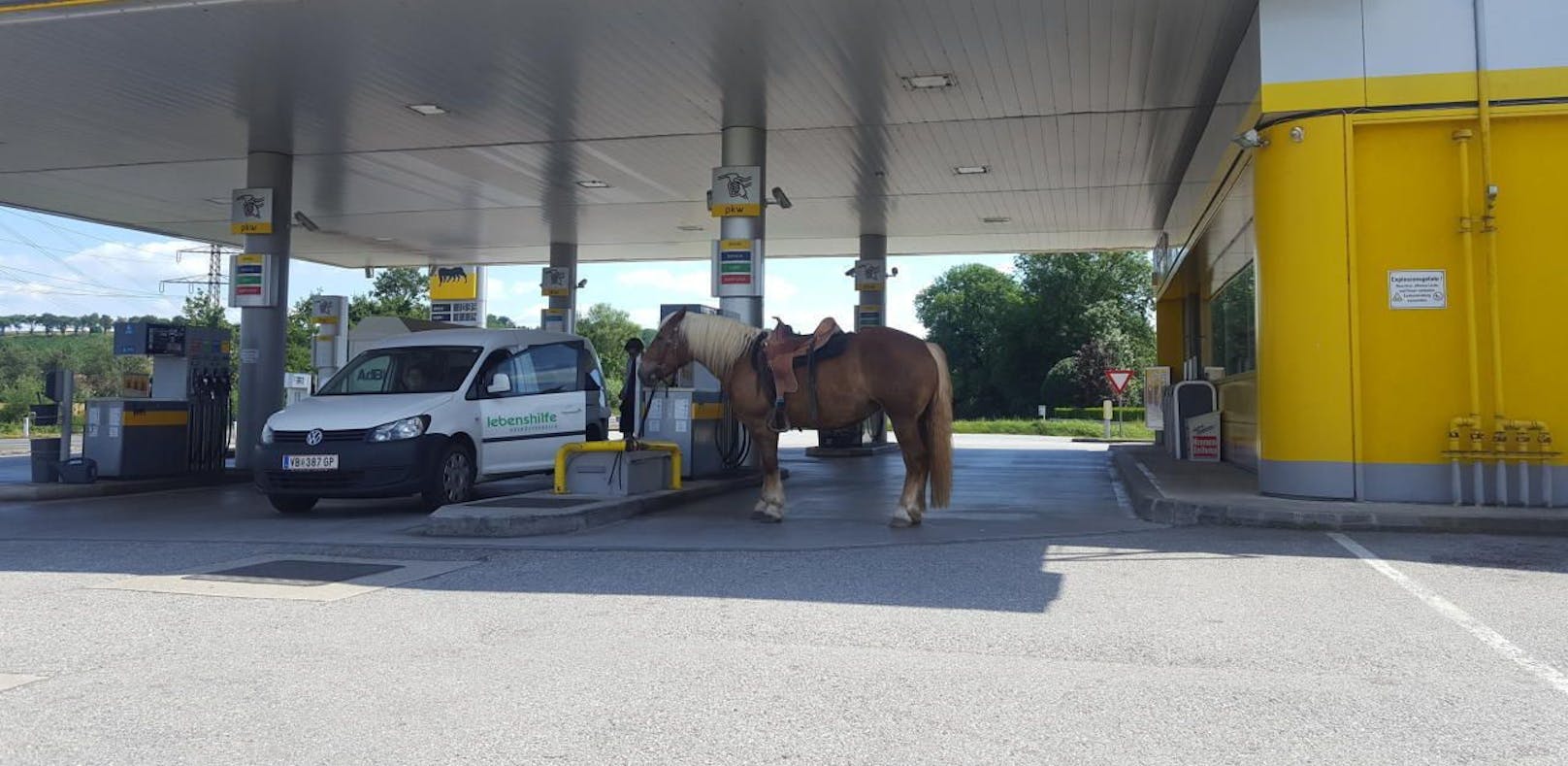 Ein Pferd tankte bei der Tankstelle auf. (Foto: Life Radio)