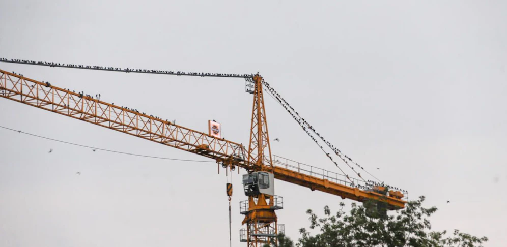 Mehrere hundert Krähen besetzten auf der Bypass-Baustelle der Voestbrücke einen Kran.