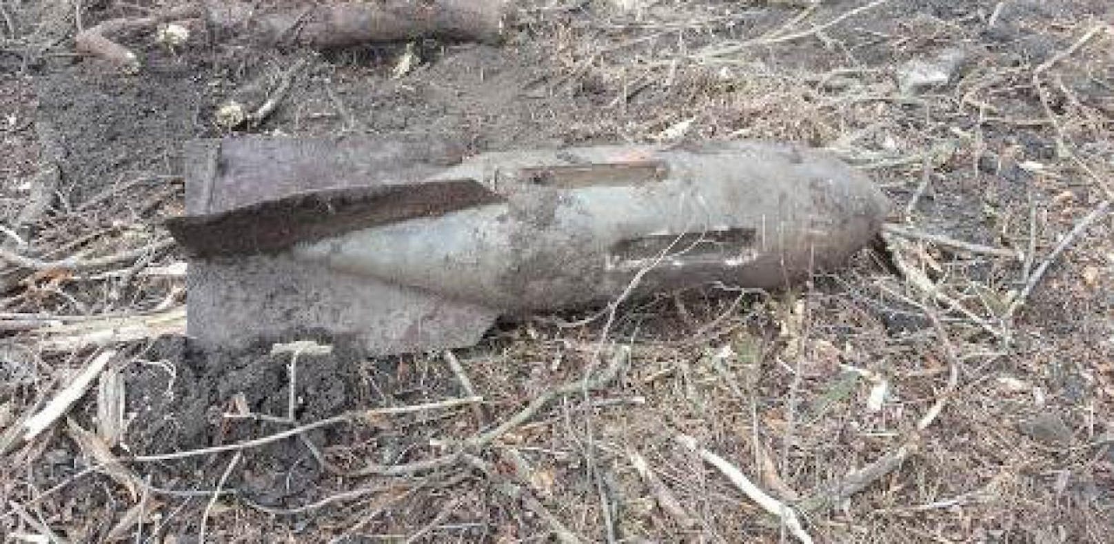In einem Wald in Garsten wurde eine Fliegerbombe entdeckt.