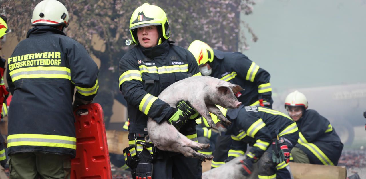 Heute.at - 13 Feuerwehren kämpfen gegen Großbrand
