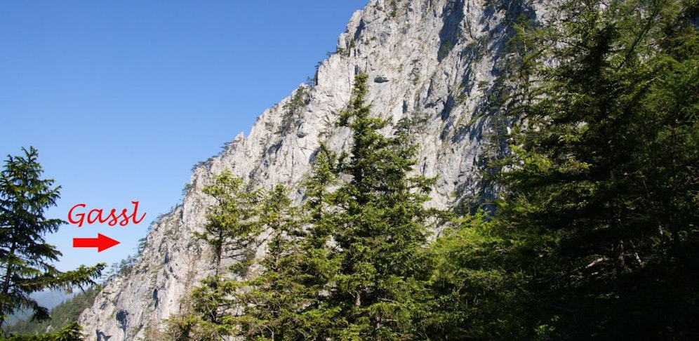 Zwei Bergsteigerinnen aus Ungarn haben in der Nacht auf Sonntag eine Suchaktion der Bergrettung Reichenau (Bezirk Neunkirchen) ausgelöst.