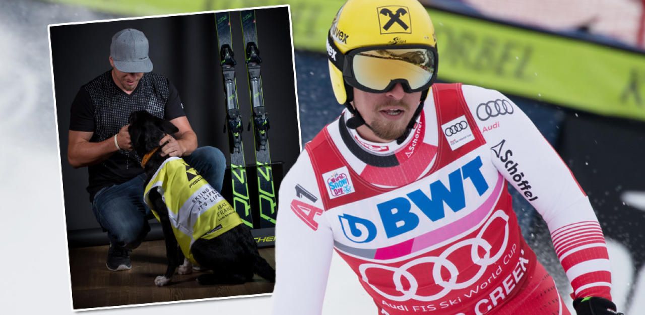 Heute.at - Süßer Hund verhalf Max Franz zum Super-G-Sieg
