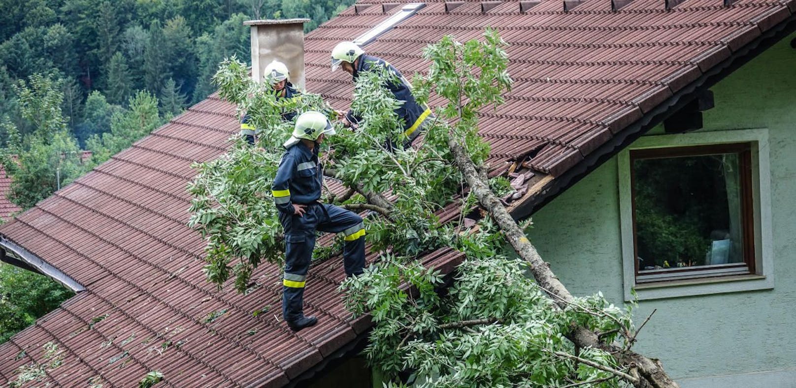 Wind weht Baum um: Esche kracht auf Wohnhaus