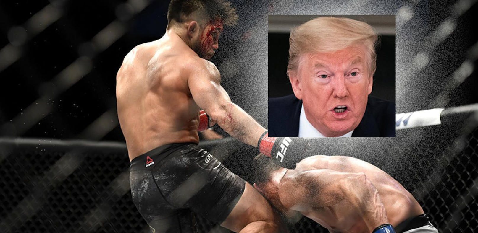 US-Präsident Donald Trump freut sich über die Rückkehr der UFC-Kampfsportler in den Ring. 