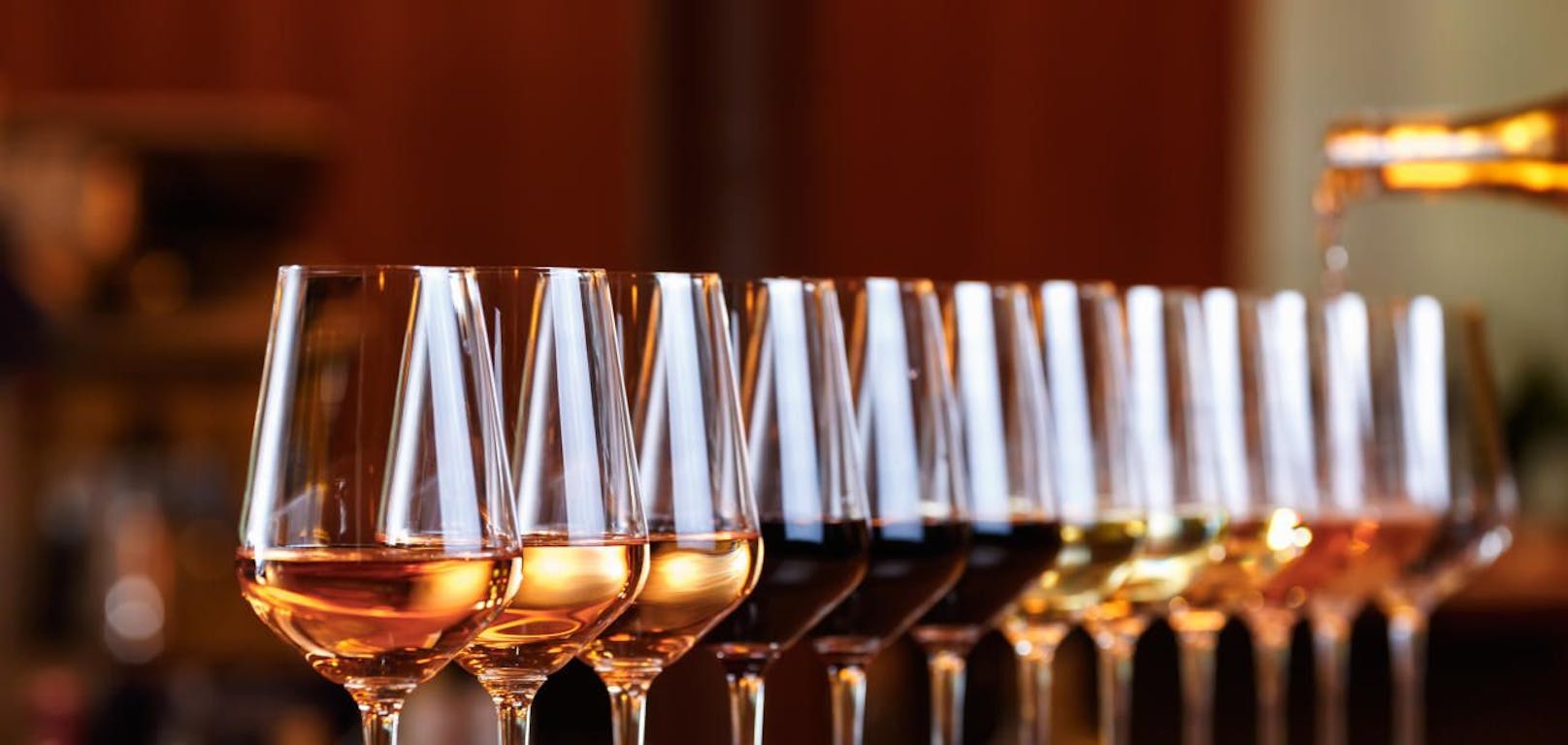 Große Auswahl erwartet die Besucher bei der Wein Burgenland Präsentation.
