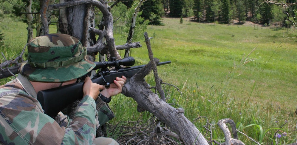 Wilderer-Alarm in Niederösterreich: Die Polizei ermittelt jetzt.