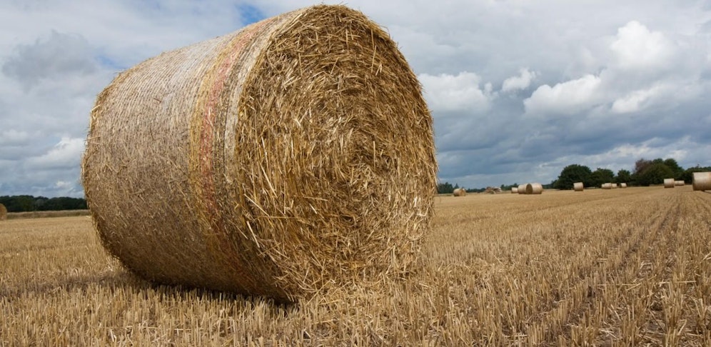 Keine Strohballen aus Kärnten für Niederösterreich.