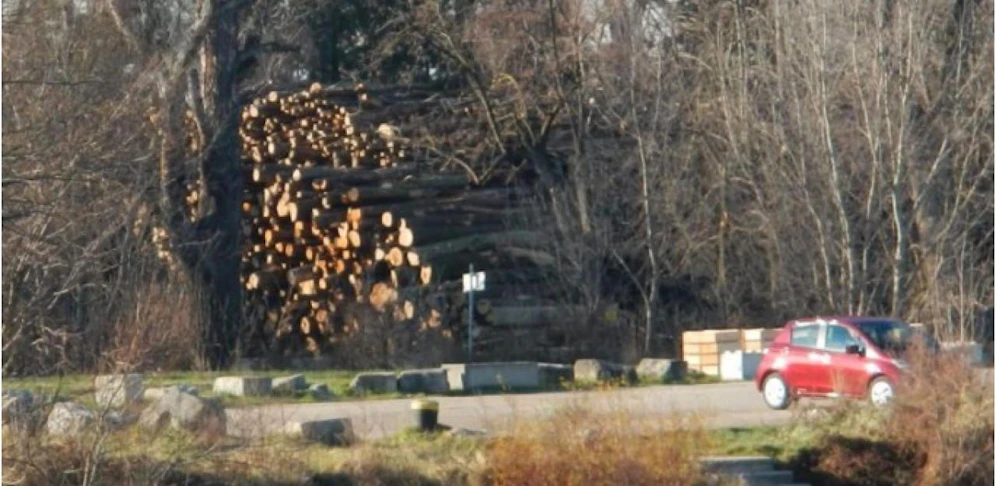 Der Stadt-Rechnungshof kritisierte Holzlagerungen neben dem Parkplatz. 
