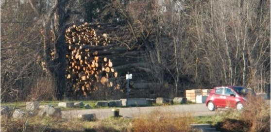 Der Stadt-Rechnungshof kritisierte Holzlagerungen neben dem Parkplatz.