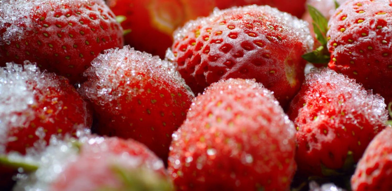 Symbolbild von Erdbeeren.