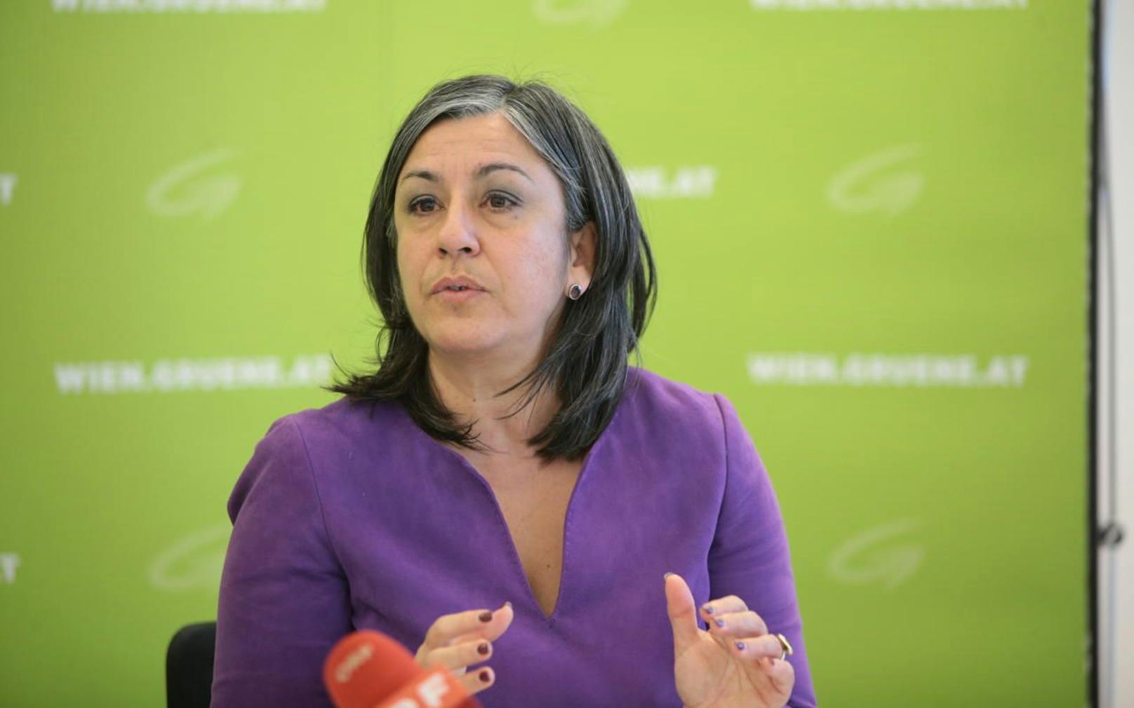 Bis November soll feststehen, ob Maria Vassilakou die Wiener Grünen in die Wahl führt oder ob ein Newcomer zum Zug kommt.
