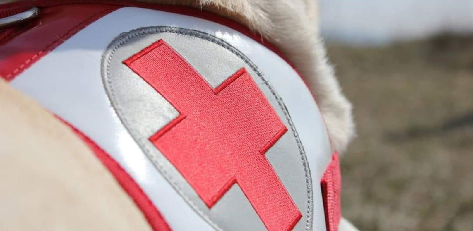 Auch Suchhunde vom Roten Kreuz stehen im Einsatz.