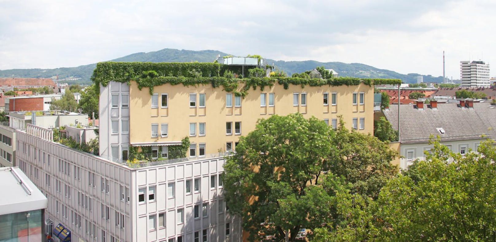 Grüne Dächer wie dieses in Linz, soll es bald auch verstärkt in Wien geben.