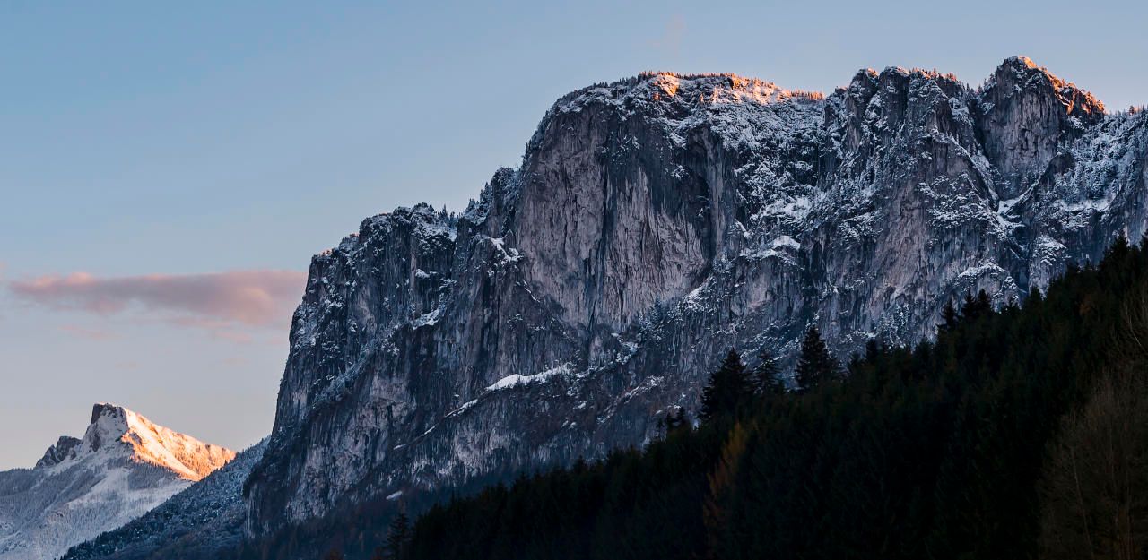 Heute.at - Sturz aus 20 Metern, Baum rettete Mann Leben