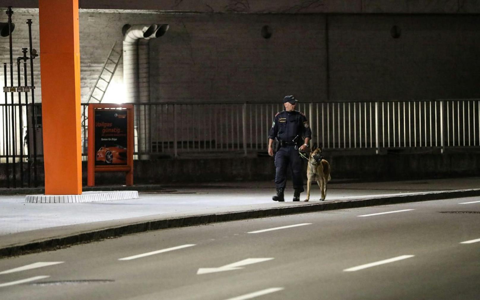 Mit Polizeihunden suchten die Beamten nach der Tatwaffe.