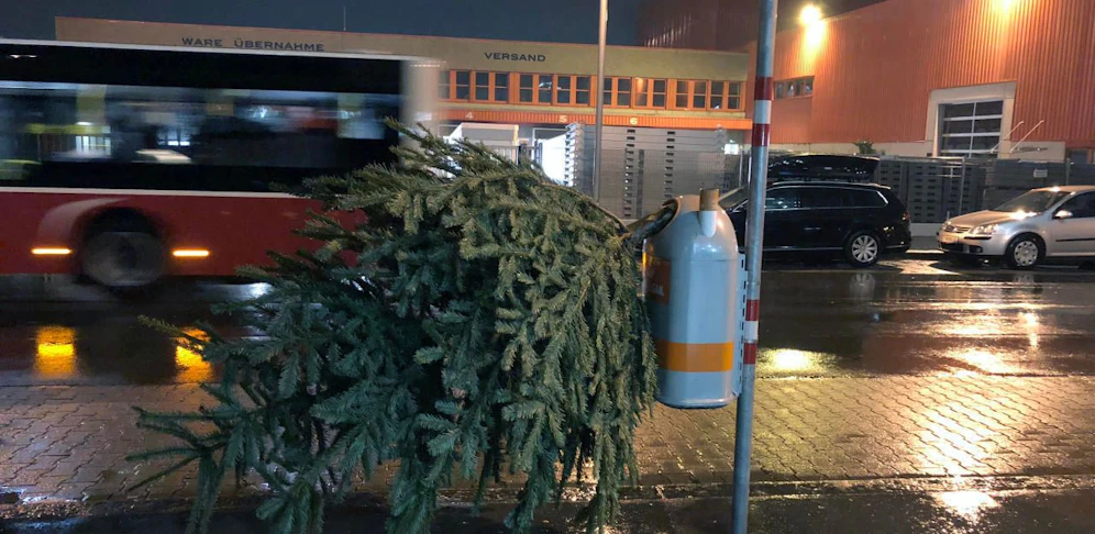 Suboptimal entsorgt: Christbaum in Wien-Simmering