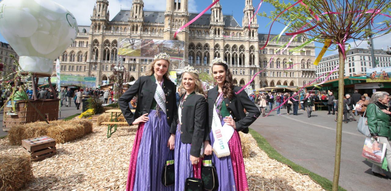 Heute.at - Polit-Prominenz steirerte nun am Rathausplatz auf