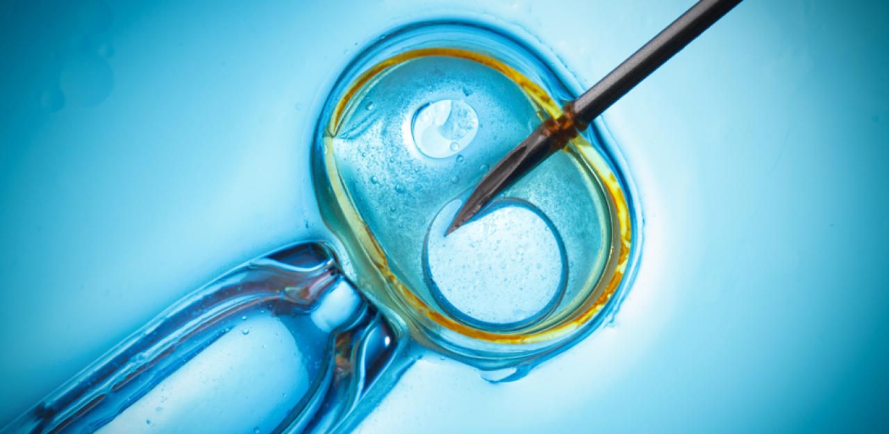 Heute.at - Samenbank-Chef gab 60 Frauen eigenes Sperma