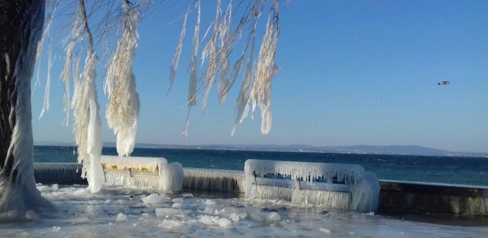 So schaut es am Bodensee (Schweizer Seite in Romanshorn) derzeit aus