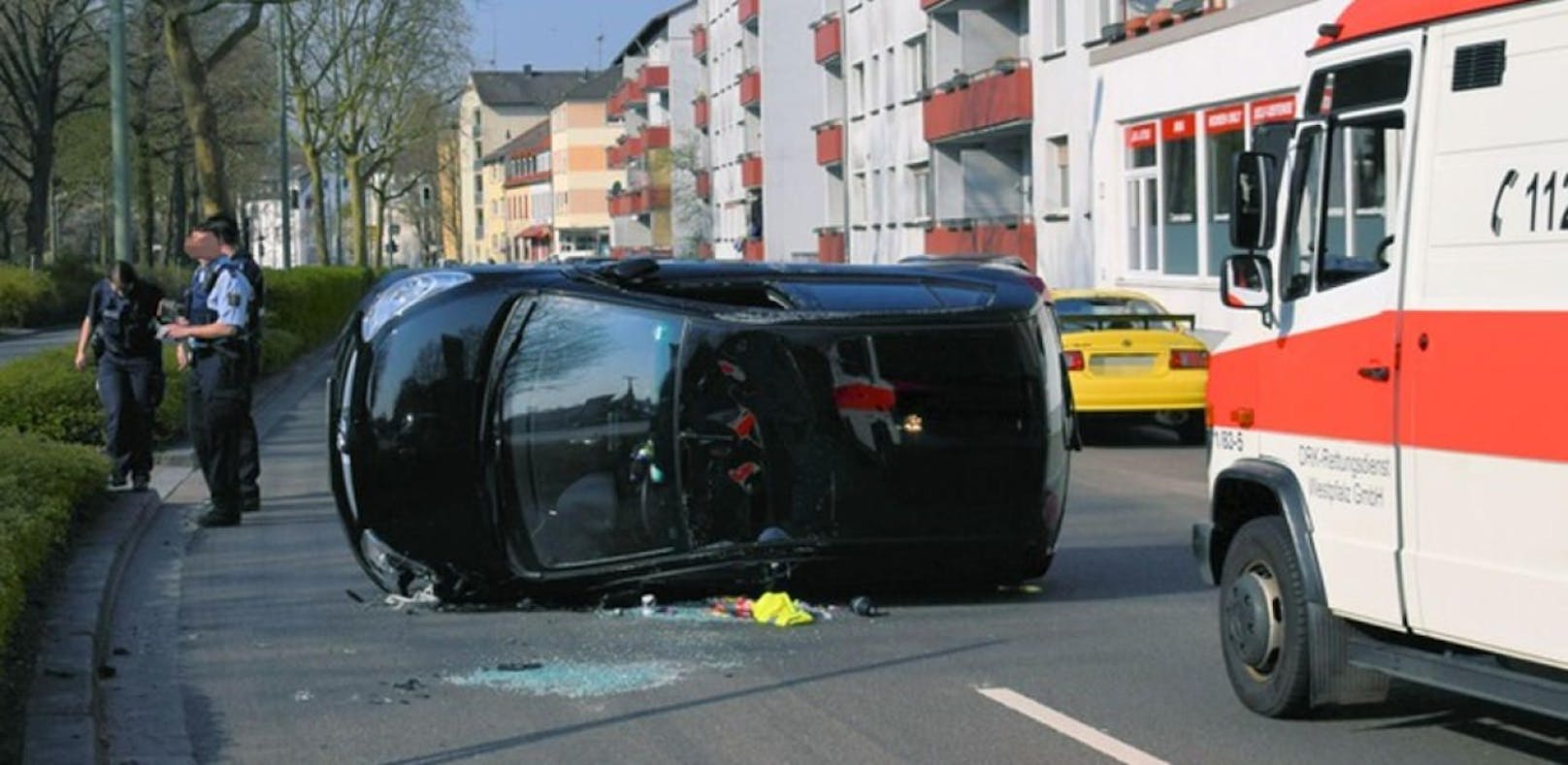 Die Spinne erschreckte die Fahrerin so sehr, dass sie mit ihrem Auto einen Unfall verursachte