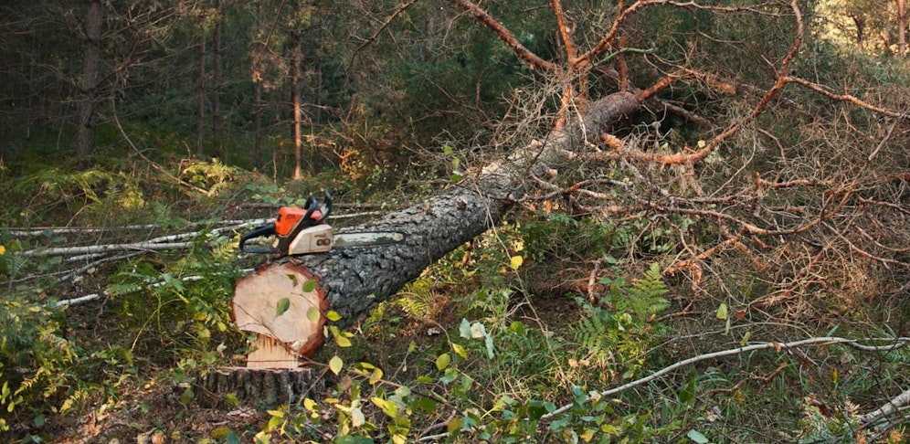 Der Mann wurde eingeklemmt und getötet. (Symbolfoto)