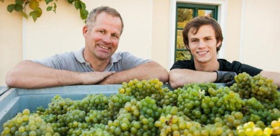 Der beste Weißwein stammt vom Weingut Allram in Niederösterreich.