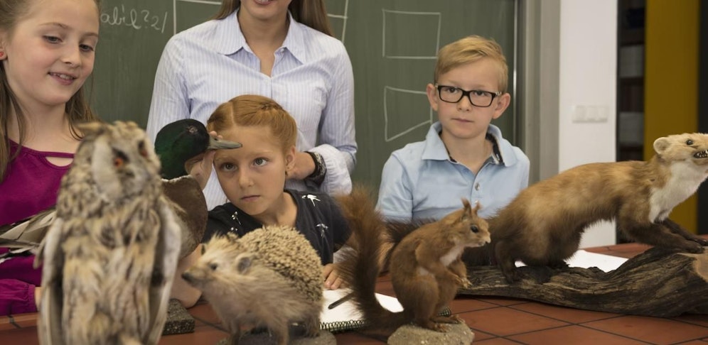 Die Erlässe, die Tierpräparate betreffen, wurden gestrichen (Symbolfoto).