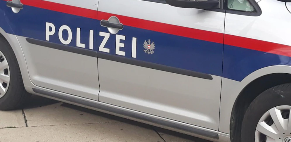 Einbruchsserie: Die Polizei konnte zwei Brüder verhaften.