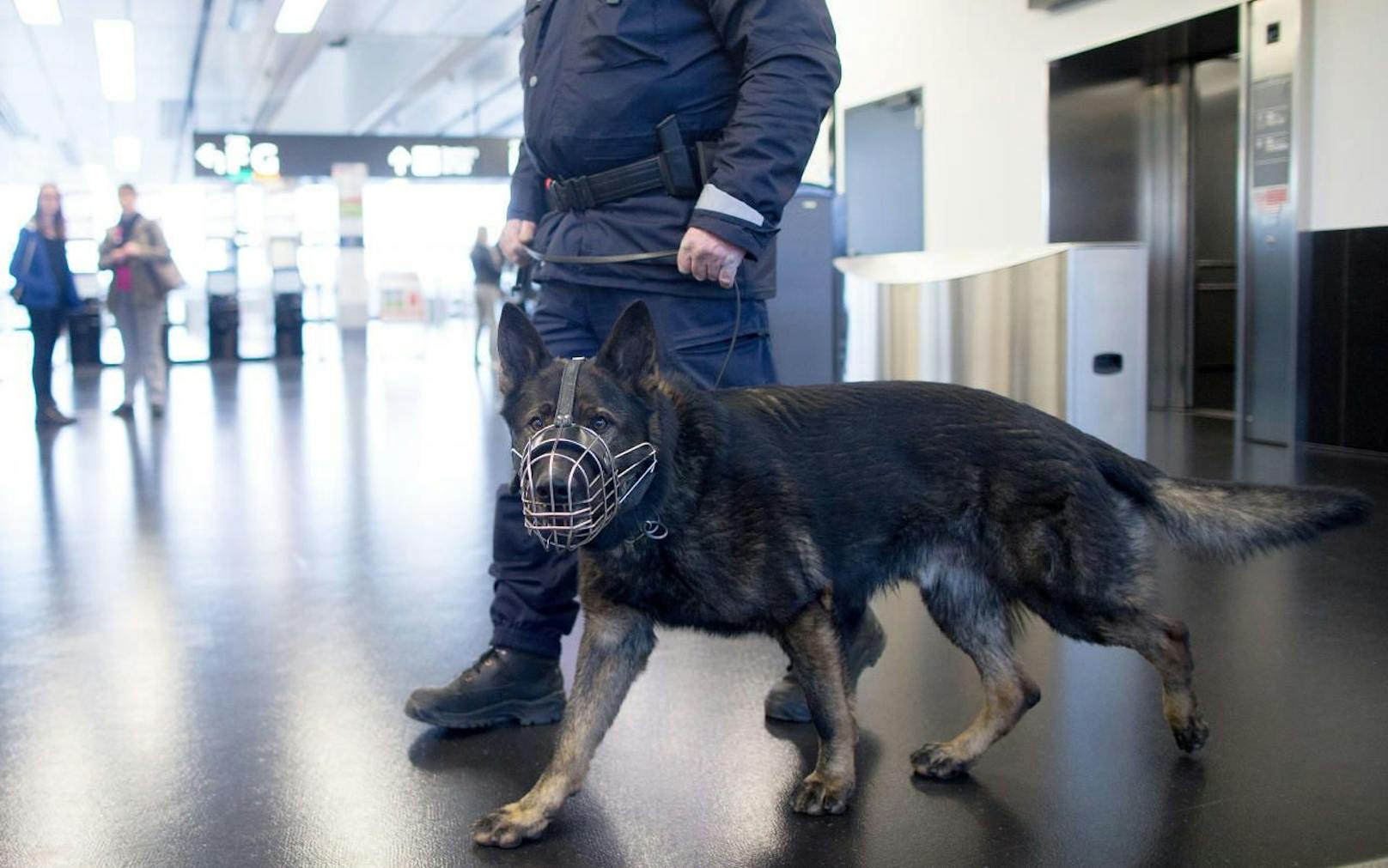 Ein Polizist mit einem Spürhund am Flughafen Wien-Schwechat am Dienstag, 22. März 2016. 