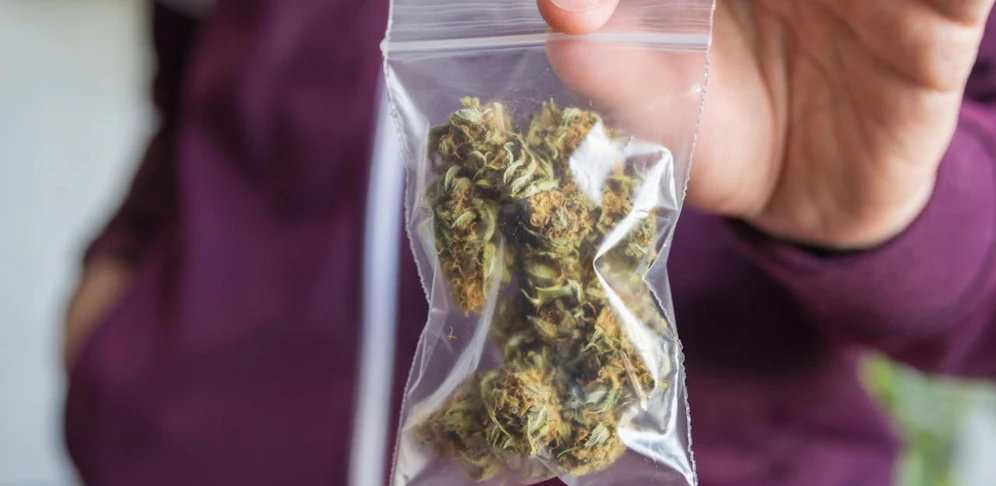 Das Marihuana soll zumeist von minderjährigen Asylwerbern und subsidiär Schutzberechtigten oder einheimischen Mädchen mit dem Zug nach Tirol geschmuggelt worden sein.