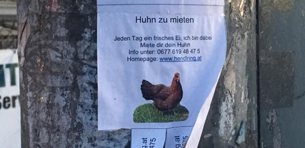 Leserreporterin Verena lacht: "In Wien kann man wirklich alles an den Mann bringen!"