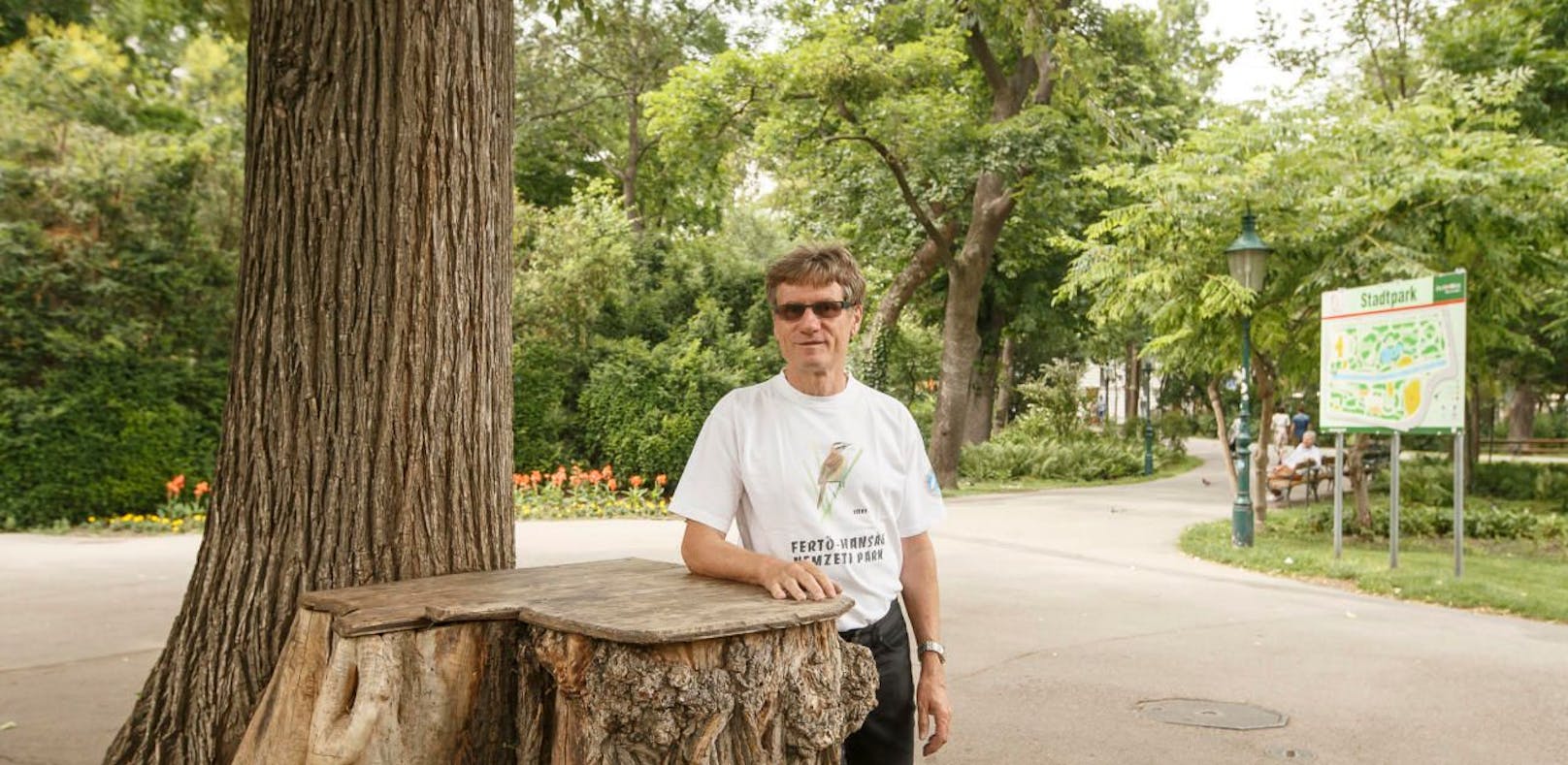 Herr P. sorgt sich um die umgeschnittenen Bäume im Wiener Stadtpark. 