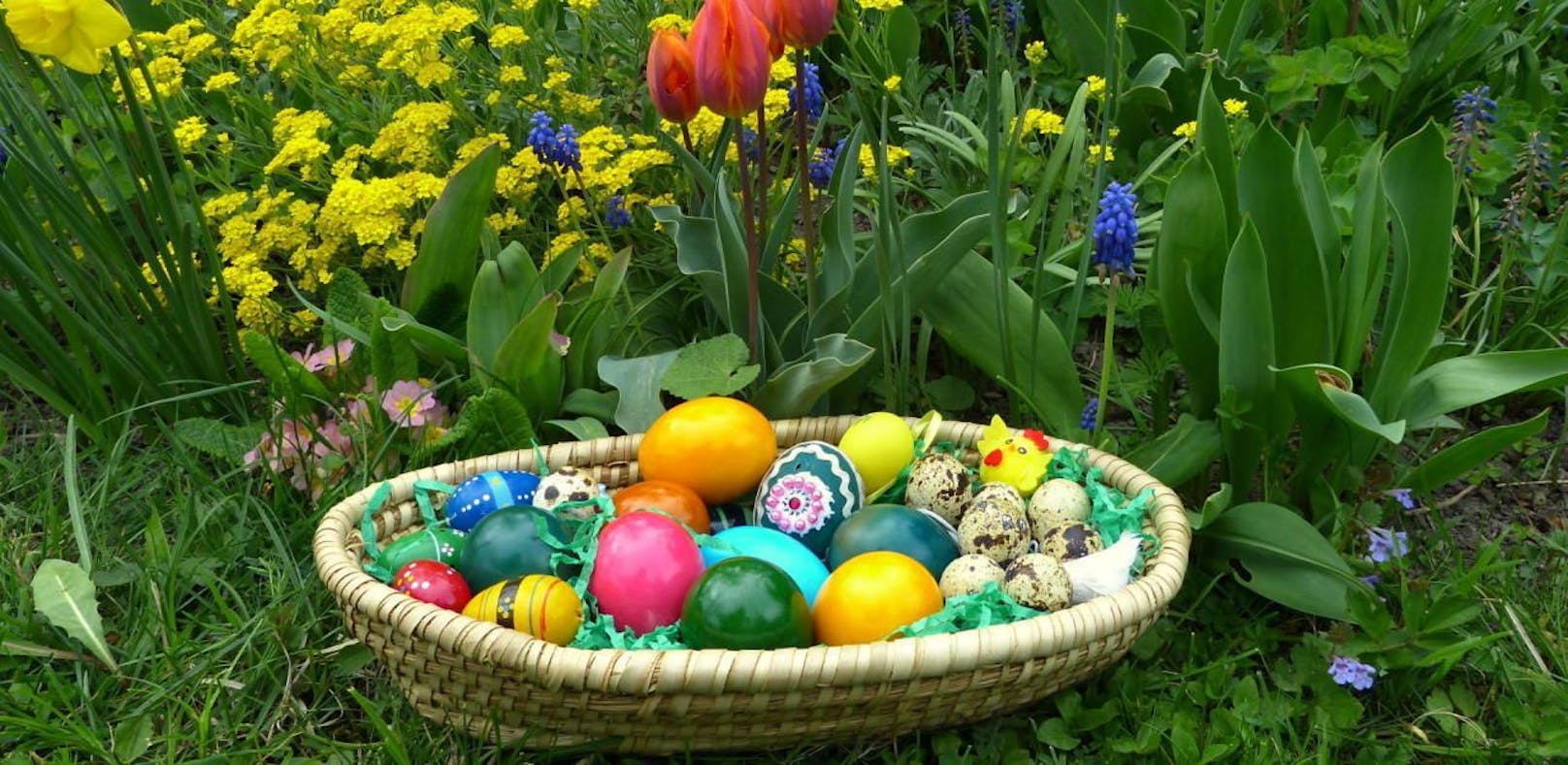 Das Osternesterl ist gemacht 
passt gut zu Gartens bunter Pracht
und schöne Feiertage winken 
mit Schokohasen, Eiern, Schinken.