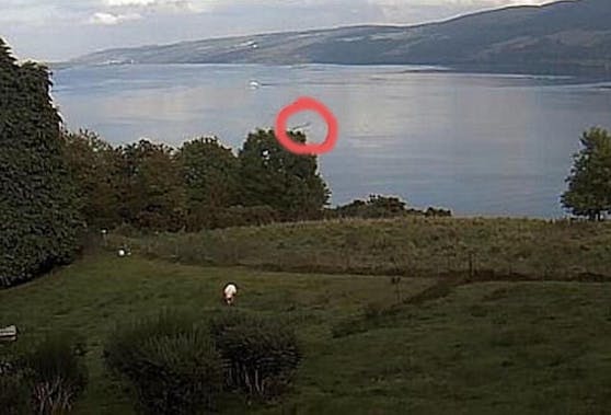 &quot;Nessie&quot;, bist du es? US-Hausfrau Diana Turner will hier (Kreis) die Flosse von dem berühmten schottischen Seeungeheuer entdeckt haben.