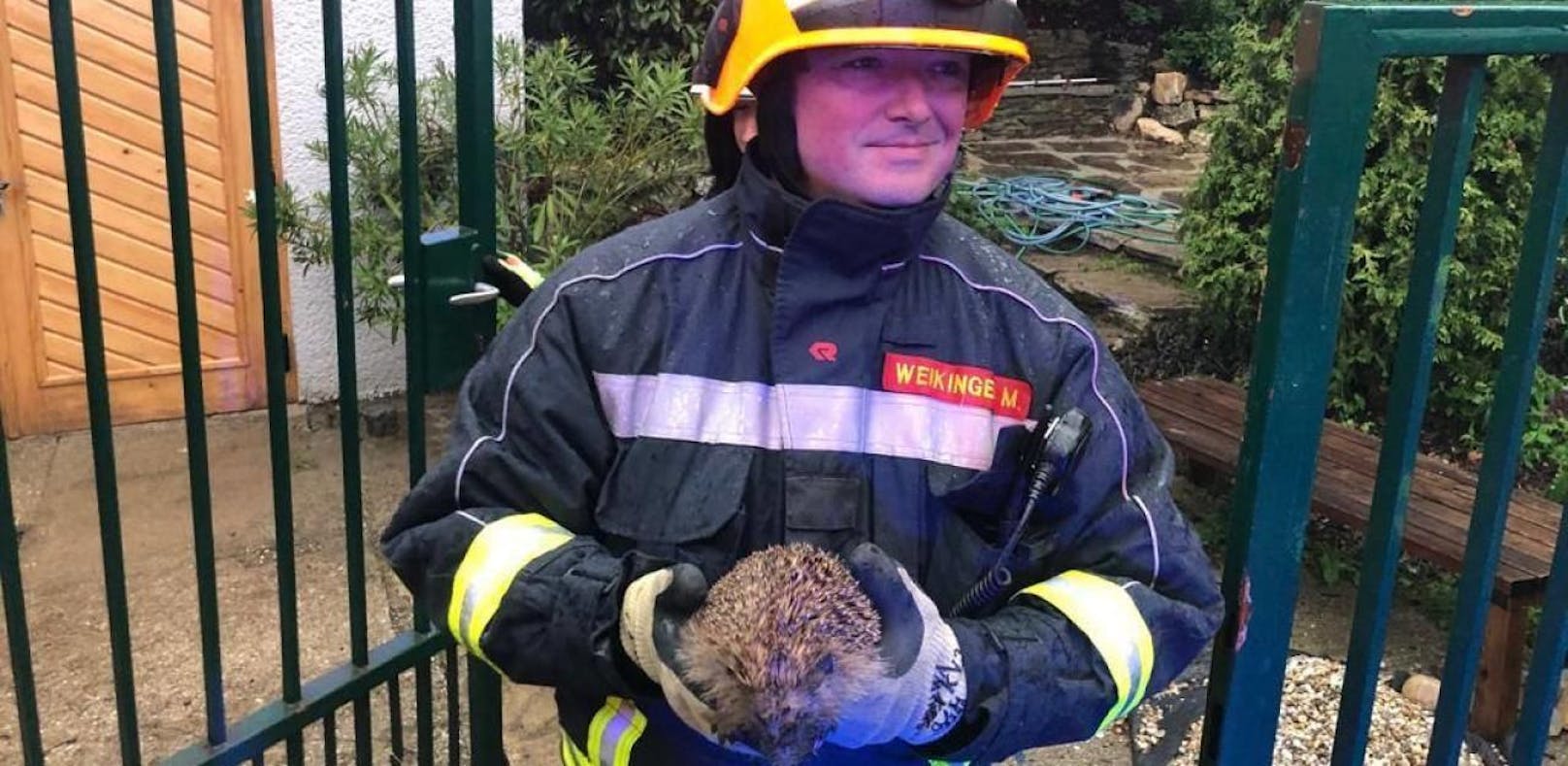 Die Feuerwehr Leonding befreite einen Igel aus seiner misslichen Lage. 