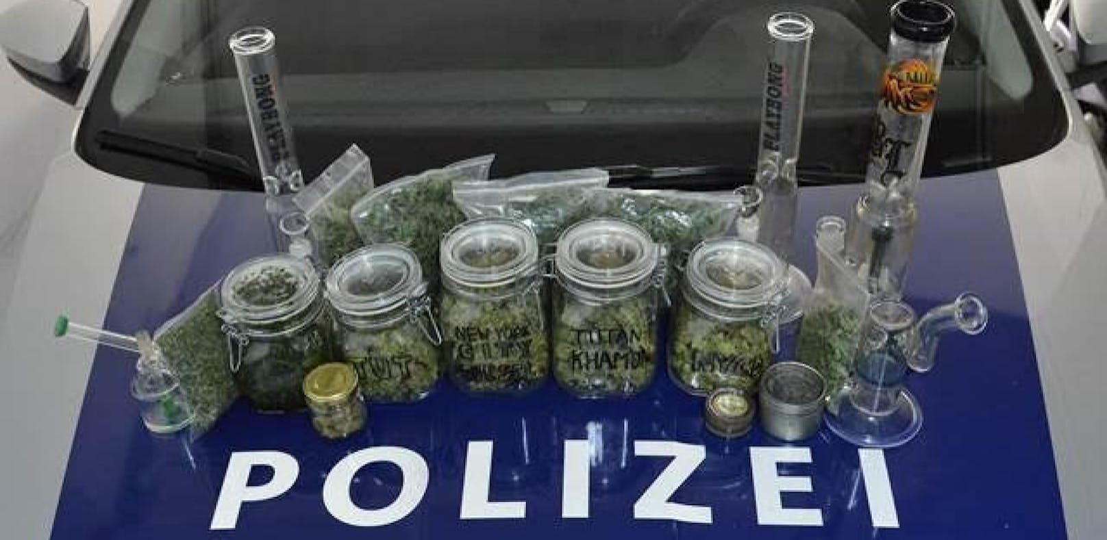 Die Polizei konnte trotzdem noch einige Marihuana-Pflanzen sicherstellen.