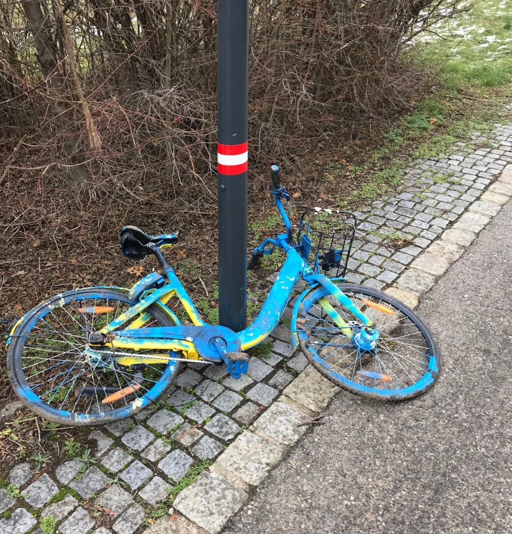 "Heute"-Leser Joseph entdeckte dieses "Kunstwerk".