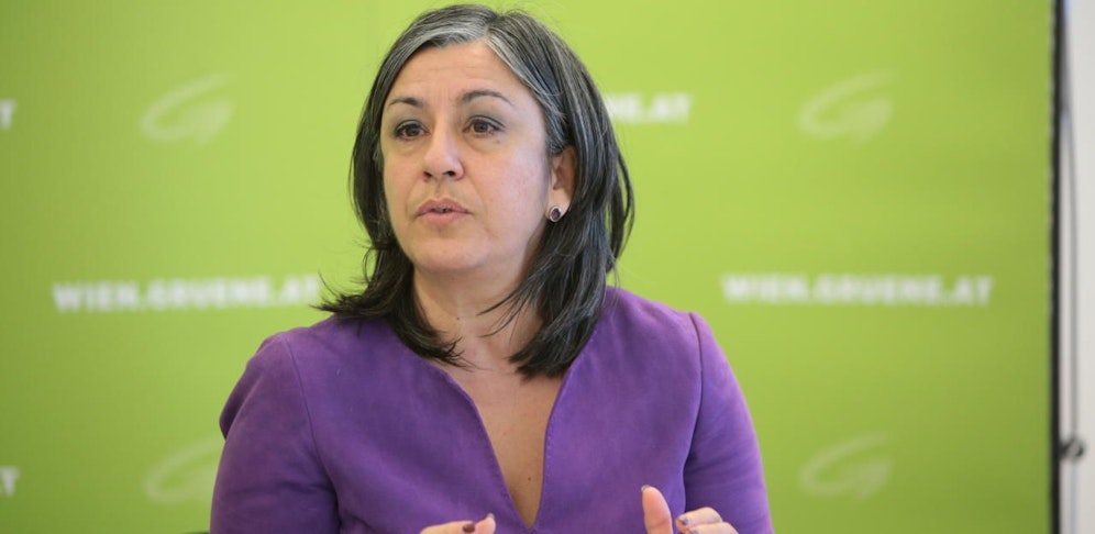 Verkehrsstadträtin Maria Vassilakou (Grüne): "Das Projekt ist und bleibt ein Milliardengrab, ein teures Prestigeprojekt und gefährdet den Nationalpark."