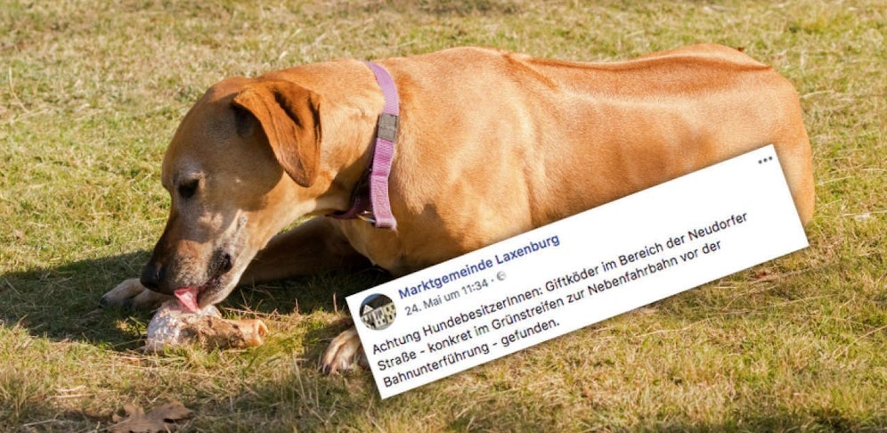 Die Gemeinde warnte via Facebook.