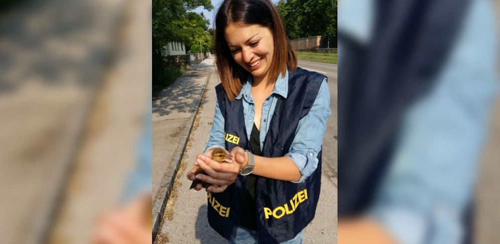 Das Küken mit seiner Retterin. 