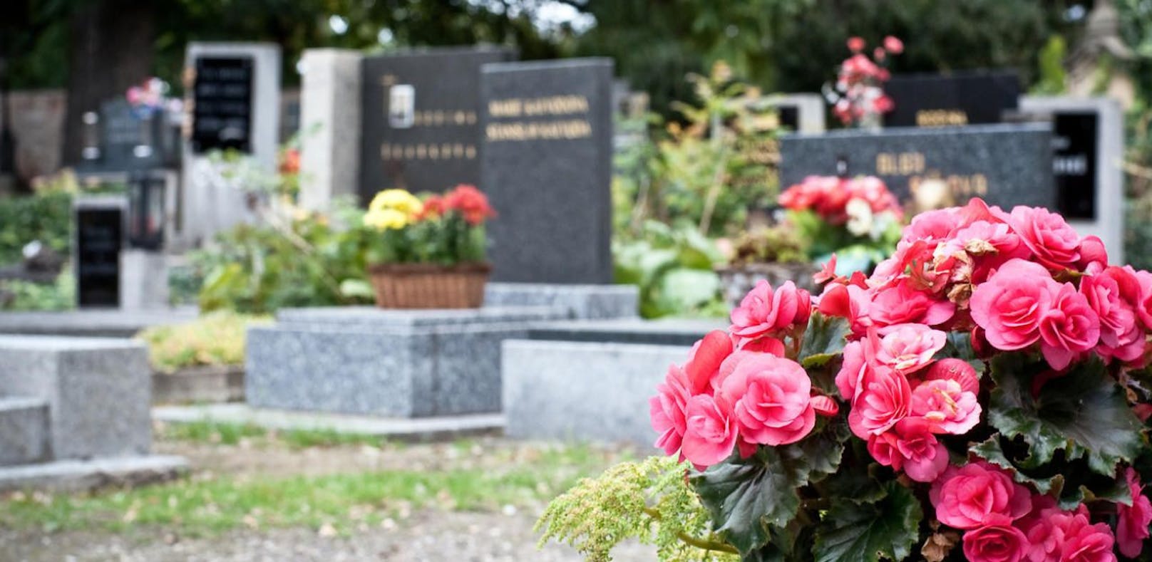 Neun Gräber wurden auf dem Friedhof der Pfarrkirche Klaus verwüstet.
